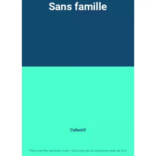Sans Famille - Collectif-image