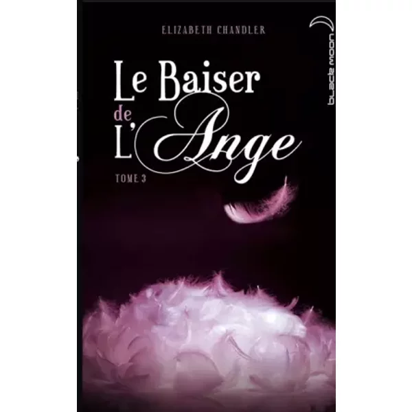 Le Baiser De L'ange - Tome 3 - Ames Soeurs - Elizabeth Chandler, Hachette Et Catherine Guillet-image
