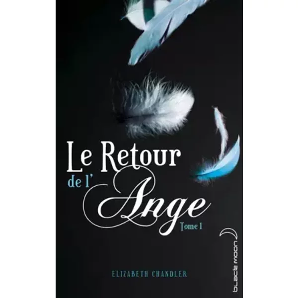 Le Retour De L'ange - Tome 1 - Le Baiser - Elizabeth Chandler, Hachette Et Catherine Guillet-image