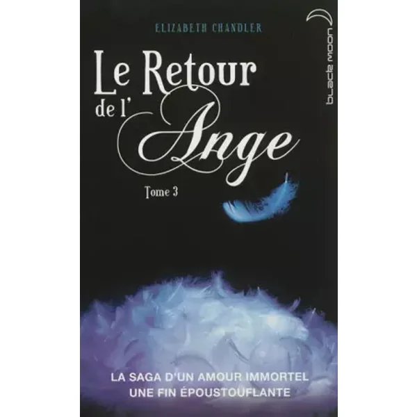 Le Retour de l'ange - Tome 3 - L'éternité - Elizabeth Chandler, Catherine Guillet