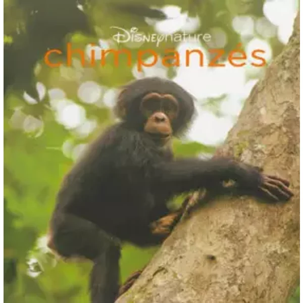 ChimpanzéS, Disney Monde Enchanté - Walt Disney-image