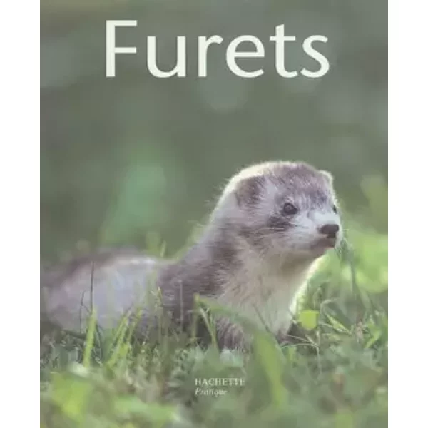Furets - Lutz Bartuschek, Olivier Giel, Anne-Marie Naboudet-Martin-image