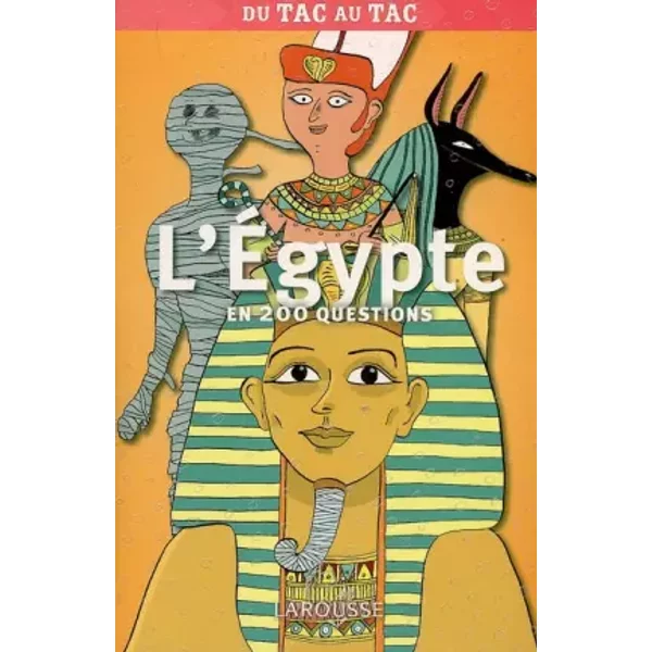 L'egypte En 200 Questions - Valentine Palfrey, Annie Forgeau, Collectif-image
