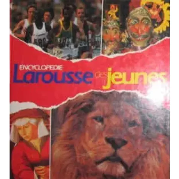 Larousse Des Jeunes T.3 - Collectif-image