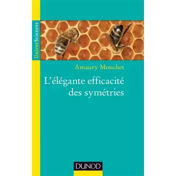 L'élégante efficacité des symétries - Amaury Mouchet