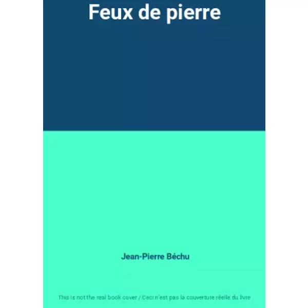 Feux De Pierre - Jean-Pierre BéChu-image