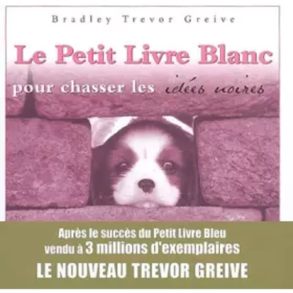 Le Petit Livre Blanc Pour Chasser Les IdéEs Noires - Bradley Trevor Greive, Dominique Haas-image