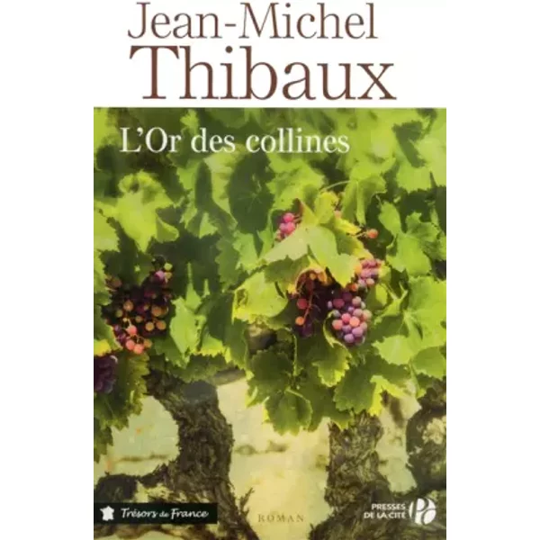 L'or Des Collines - Jean-Michel Thibaux-image