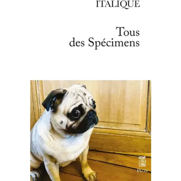 Tous des spécimens - Italique