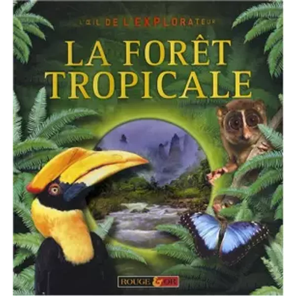 Foret Tropicale - Jinny Johnson-image