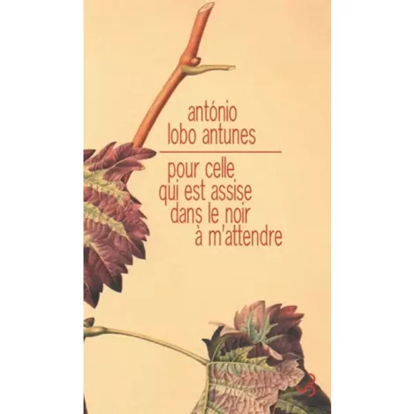 Pour celle qui est assise dans le noir à m'attendre - António Lobo Antunes, Dominique Nédellec