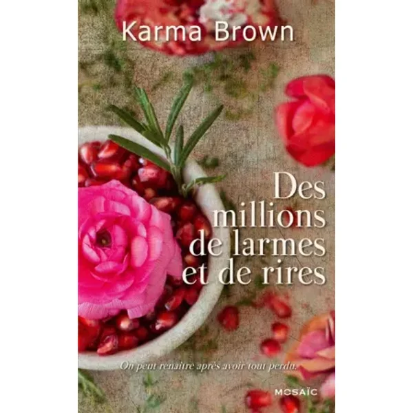 Des millions de larmes et de rires - Karma Brown