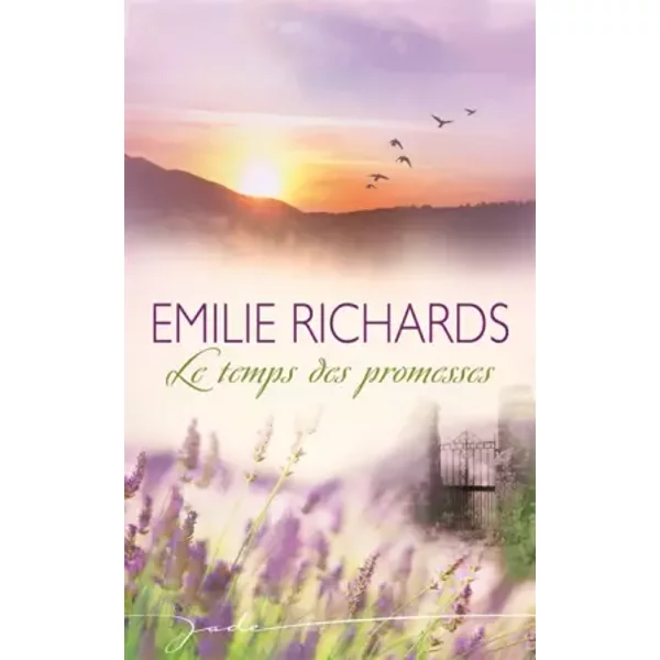 Le Temps Des Promesses - Emilie Richards-image