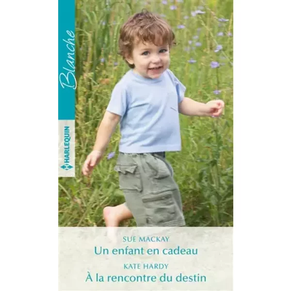 Un Enfant En Cadeau - À La Rencontre Du Destin - Sue Mackay Et Kate Hardy-image