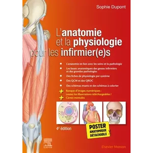 L'anatomie et la physiologie pour les infirmier(e)s - Sophie Dupont