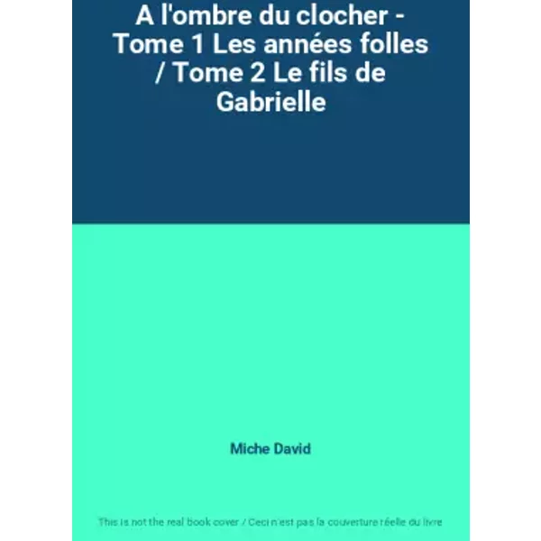 A L'ombre Du Clocher - Tome 1 Les AnnéEs Folles / Tome 2 Le Fils De Gabrielle - Miche David-image