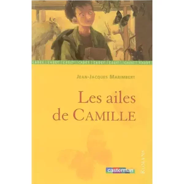 Les Ailes De Camille - Jean-Jacques Marimbert Et Sibylle Delacroix-image