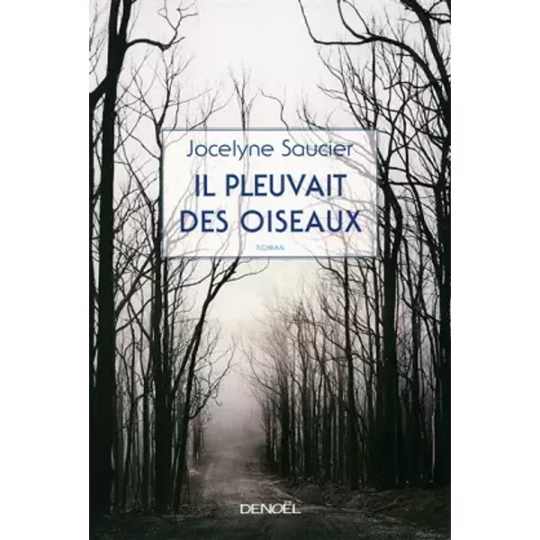 Il Pleuvait Des Oiseaux - Jocelyne Saucier-image