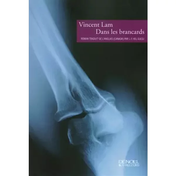 Dans Les Brancards - Vincent Lam, Johan-FréDéRik Hel Guedj-image