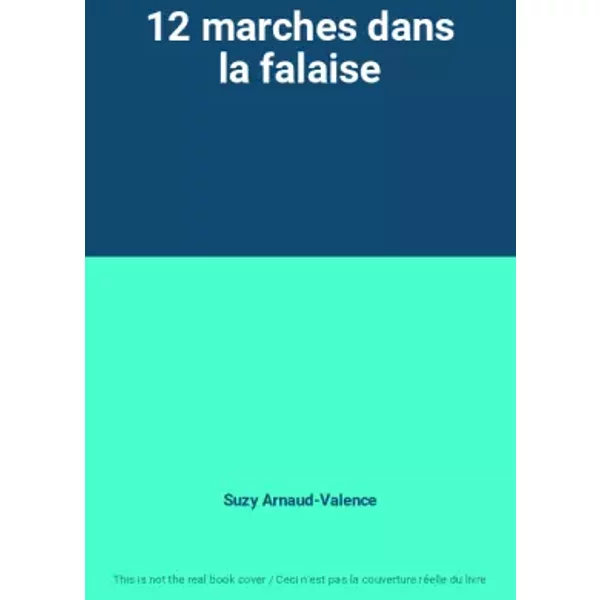 12 Marches Dans La Falaise - Suzy Arnaud-Valence-image