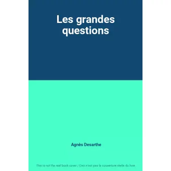 Les Grandes Questions - AgnèS Desarthe-image