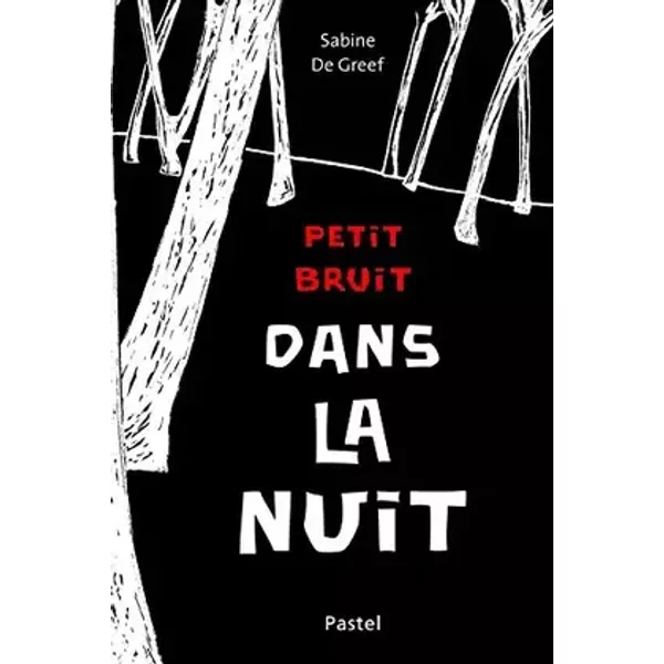 petit bruit dans la nuit - De Greef Sabine