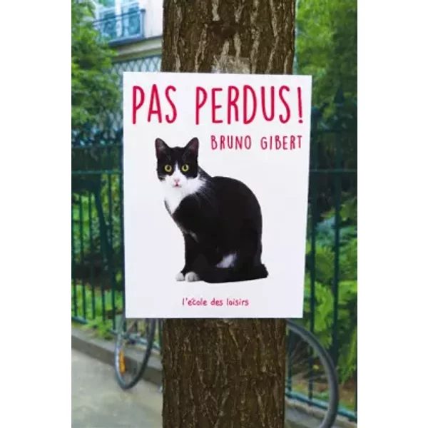 Pas Perdus ! - Bruno Gibert, Bruno Gibert-image