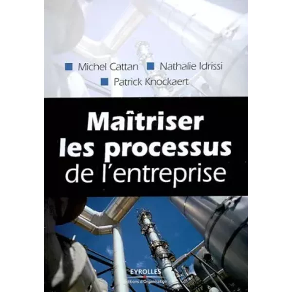 Maîtriser les processus de l'entreprise - Michel Cattan, Nathalie Idrissi, Patrick Knockaert