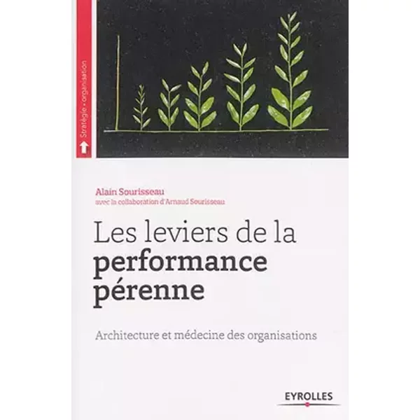 Les leviers de la performance pérenne : Architecture et médecine des organisations - Alain Sourisseau