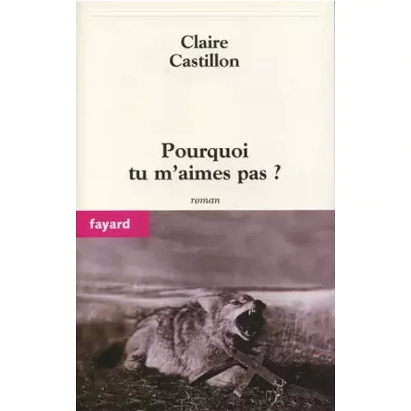 Pourquoi Tu M'aimes Pas ? - Claire Castillon-image