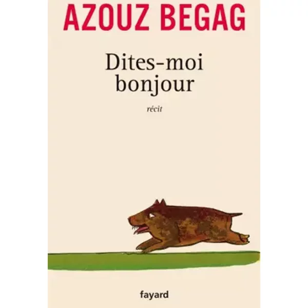 Dites-Moi Bonjour - Azouz Begag-image
