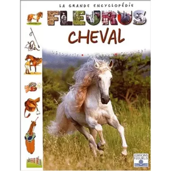 Cheval - Collectif-image