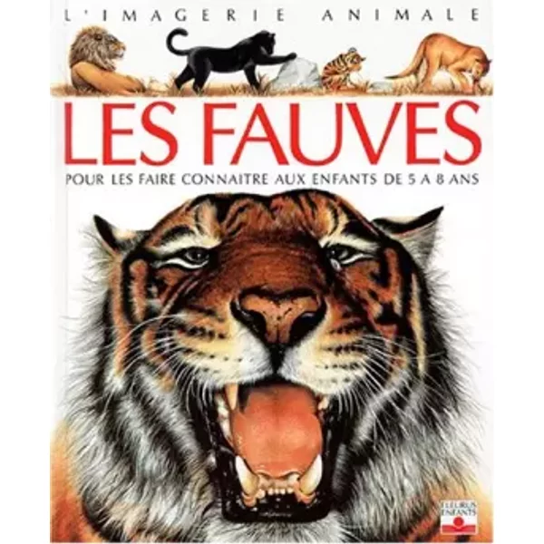 Les Fauves : Pour Les Faire ConnaîTre Aux Enfants De 5 à 8 Ans - ÉMilie Beaumont, Lindsey Selley-image