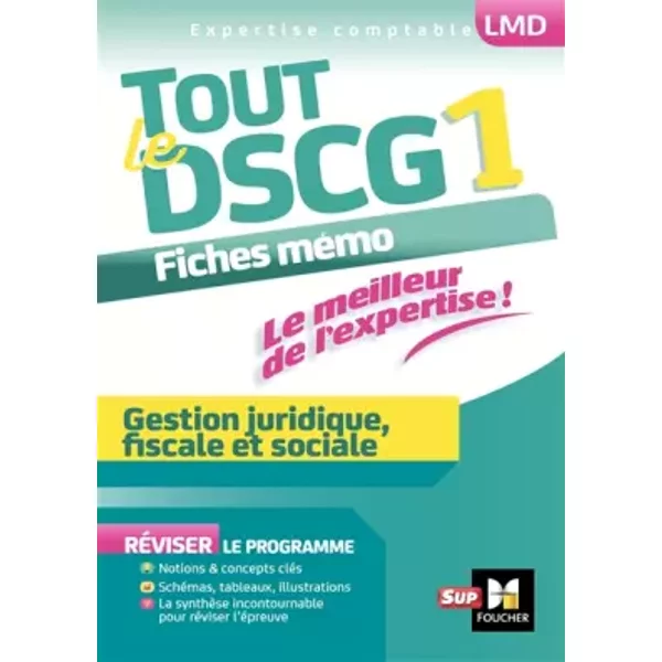 Tout Le Dscg 1 - Gestion Juridique Fiscale Et Sociale - FrançOise Rouaix, Catherine Maillet, Jean-Luc Mondon, Alain Burlaud-image