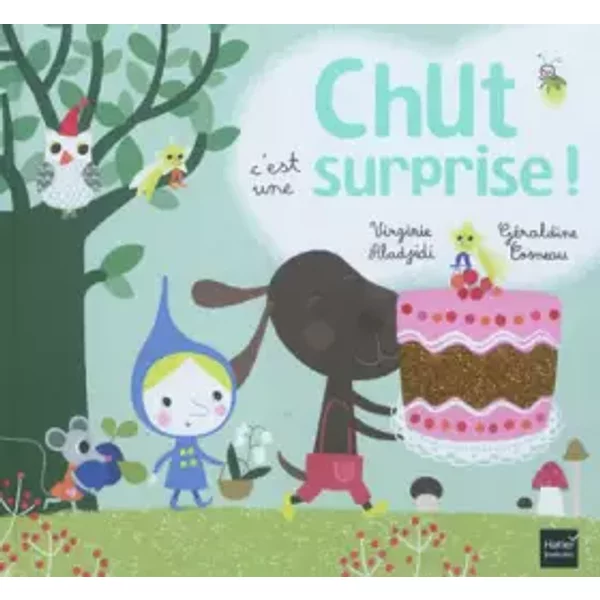 Chut c'est une surprise ! - Virginie Aladjidi, Géraldine Cosneau