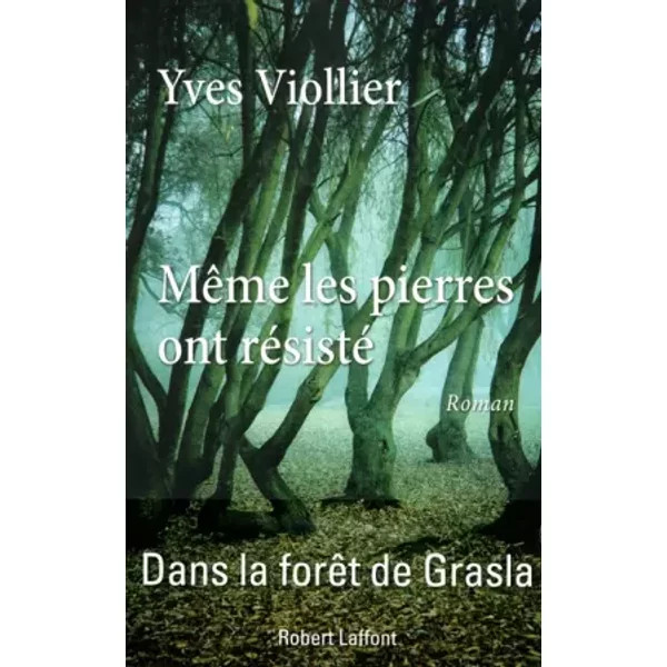 MêMe Les Pierres Ont RéSisté - Yves Viollier-image