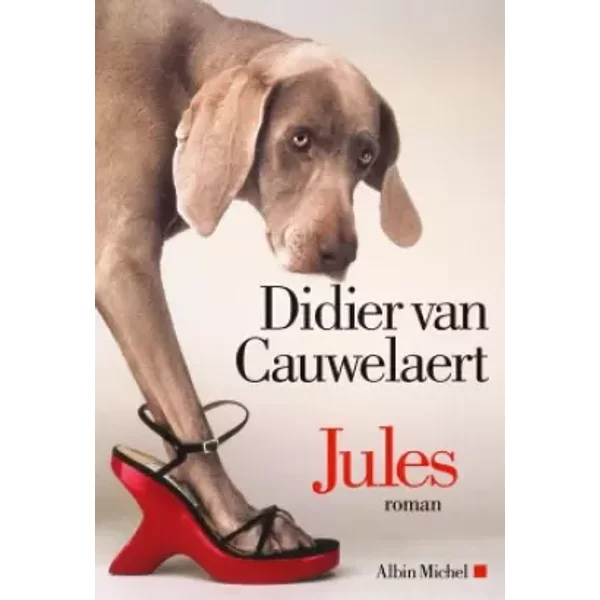 Jules - Didier Van Cauwelaert-image