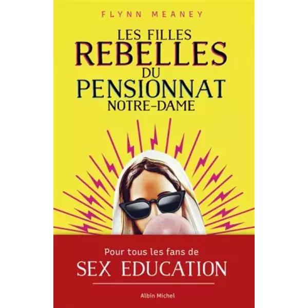Les Filles Rebelles Du Pensionnat Notre-Dame - Flynn Meaney, Florence Schneider-image