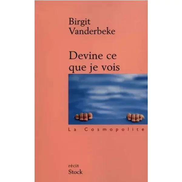 Devine Ce Que Je Vois - Birgit Vanderbeke-image