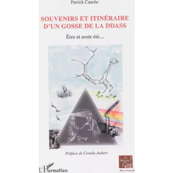 Souvenirs Et ItinéRaire D'un Gosse De La Ddass: ÊTre Et Avoir éTé... - Patrick Cauche-image