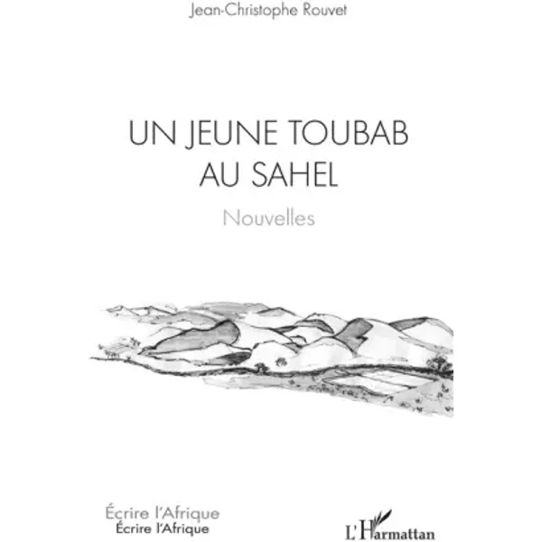 Un jeune toubab au Sahel: Nouvelles - Jean-Christophe Rouvet