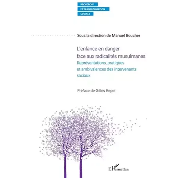 L'enfance en danger face aux radicalités musulmanes: Représentations, pratiques et ambivalences des intervenants sociaux - Manuel Boucher