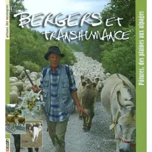 Bergers et transhumance: Pâtures, des plaines aux alpages - Dominique Lambert