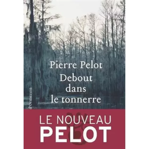 Debout Dans Le Tonnerre - Pierre Pelot-image