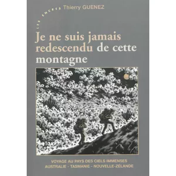 Je ne suis jamais redescendu de cette montagne - Thierry Guenez