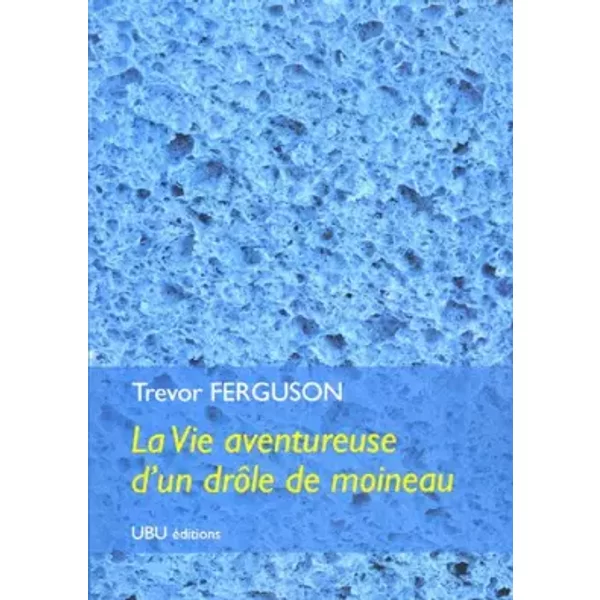 La Vie Aventureuse D'un DrôLe De Moineau - Trevor Ferguson-image