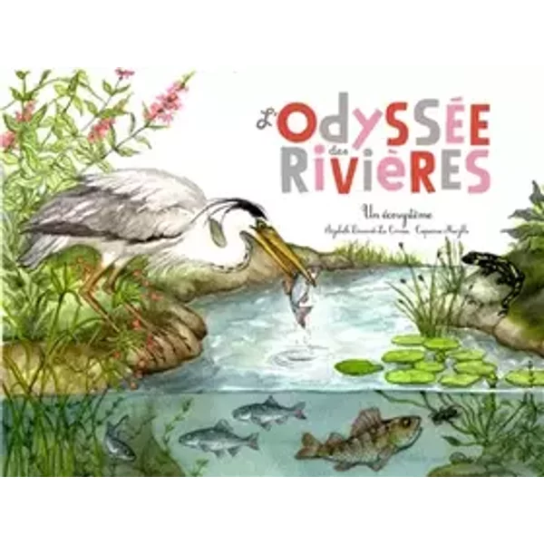 L'ODYSSÉE DES RIVIÈRES (COLL. OHÉ LA SCIENCE !) - Élisabeth Dumont-Le Cornec