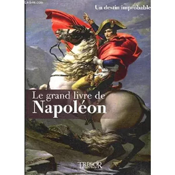Le Grand Livre De NapoléOn 1: Un Destin Improbable - Collectif-image