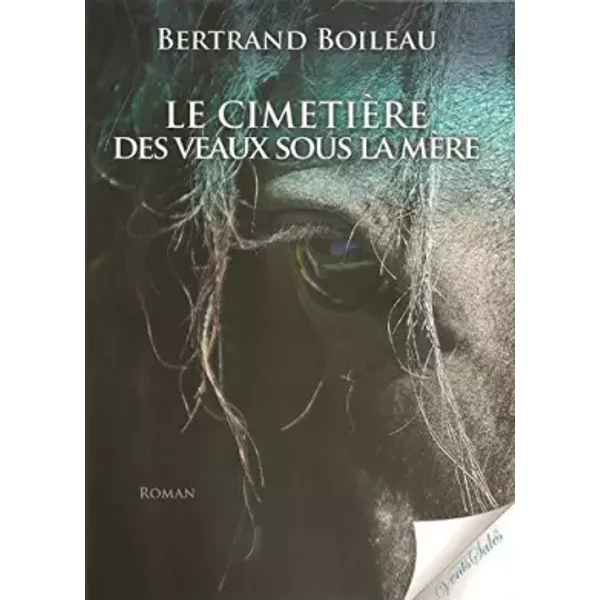 Le CimetièRe Des Veaux Sous La MèRe - Bertrand Boileau-image
