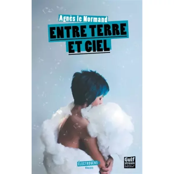 Entre terre et ciel - Agnès Le Normand